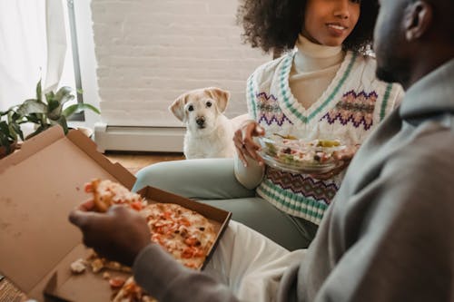 Makanan Anjing Murah Dan Sehat